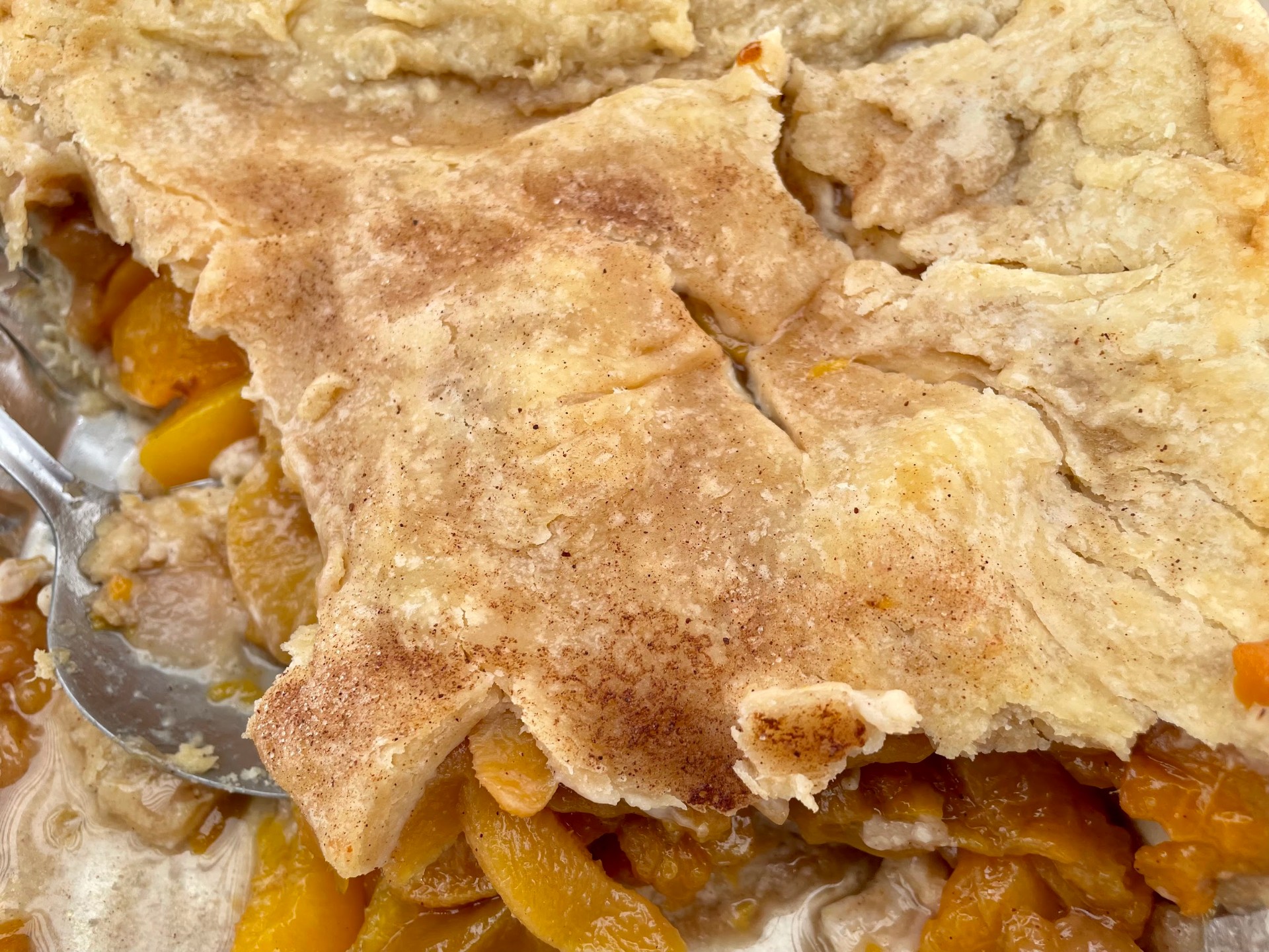 Homemade peach cobbler with golden cinnamon-sugar crust